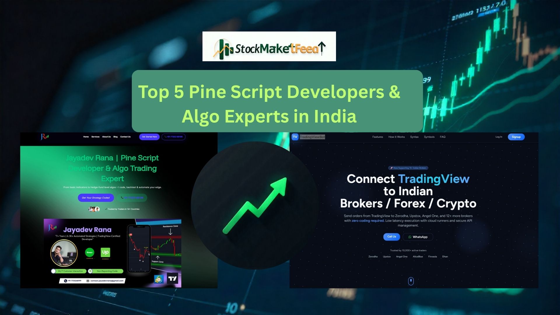 Top 5 Pine Script Developers & Algo Experts in India